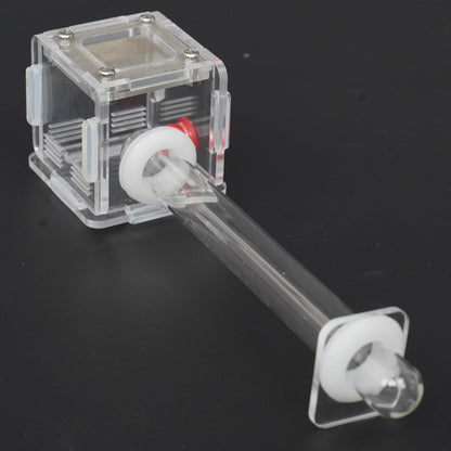 2x2x2 Inch 15mm Acrylic Transparent Ant Nest - Mini Ant Farm, Small Colony Observation
