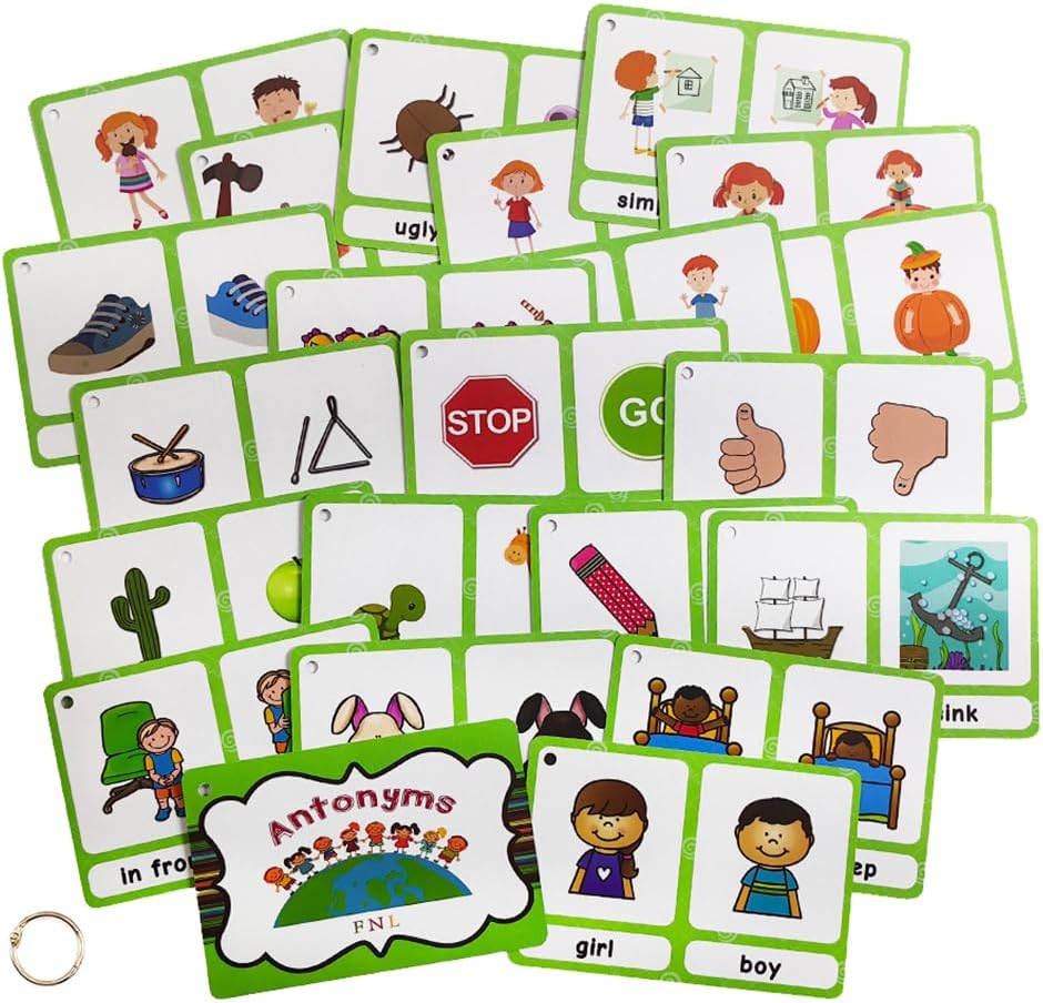 Lilias Irregular Past Tense Verbs English Grammar Double-Side Learning Flash Cards - 24 Card Set for Homeschool, Preschool, Primary School, ESL, Autism, Vocabulary Building