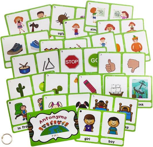 Lilias Irregular Past Tense Verbs English Grammar Double-Side Learning Flash Cards - 24 Card Set for Homeschool, Preschool, Primary School, ESL, Autism, Vocabulary Building