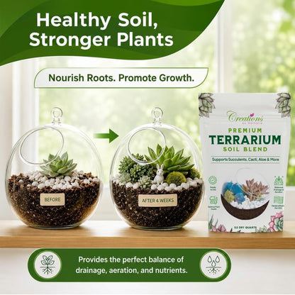 Creations by Nathalie – DIY Large Terrarium Starter Kit with Soil, Moss, Pebbles, Healing Crystal, Tools & Supplies – Terrarium Kit for Adults & Teens, Handcrafted in USA