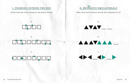 The Codebreakers Club Solve the Mystery of the Missing Puzzle Professor: 150+ Logic Puzzles