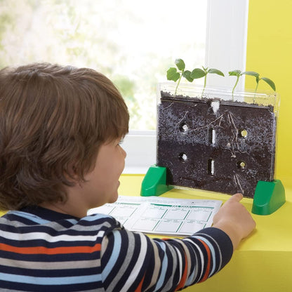 Educational Insights Sprout & Grow Window - See-Through Sprouts Growing Kit, Kids Gardening Set, Kid-Friendly Science Kits, Root Viewer, Gardening Kit for Kids, Indoor Classroom Planter, Ages 5+