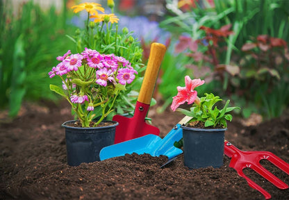Paint & Plant Kids Gardening Kit Arts and Crafts Toys - Toddler Gardening Kits Birthday Easter Gifts Ideas for Girls & Boys 4 5 6 7 8 9 10 11 12 Year Old
