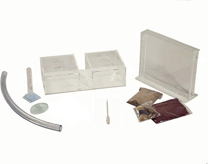 AntHouse Sand Ant Farm Mini - Formicarium