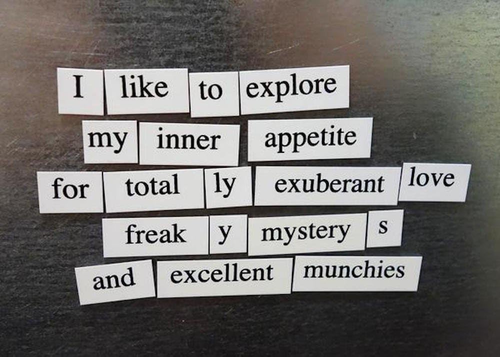 Bitch-Magnetic Poetry Kit