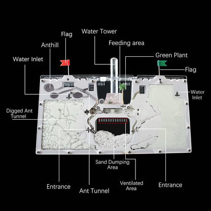 Ant Castle Farm - Live Ant Colony Observation Kit & Science Learning Habitat for Kids