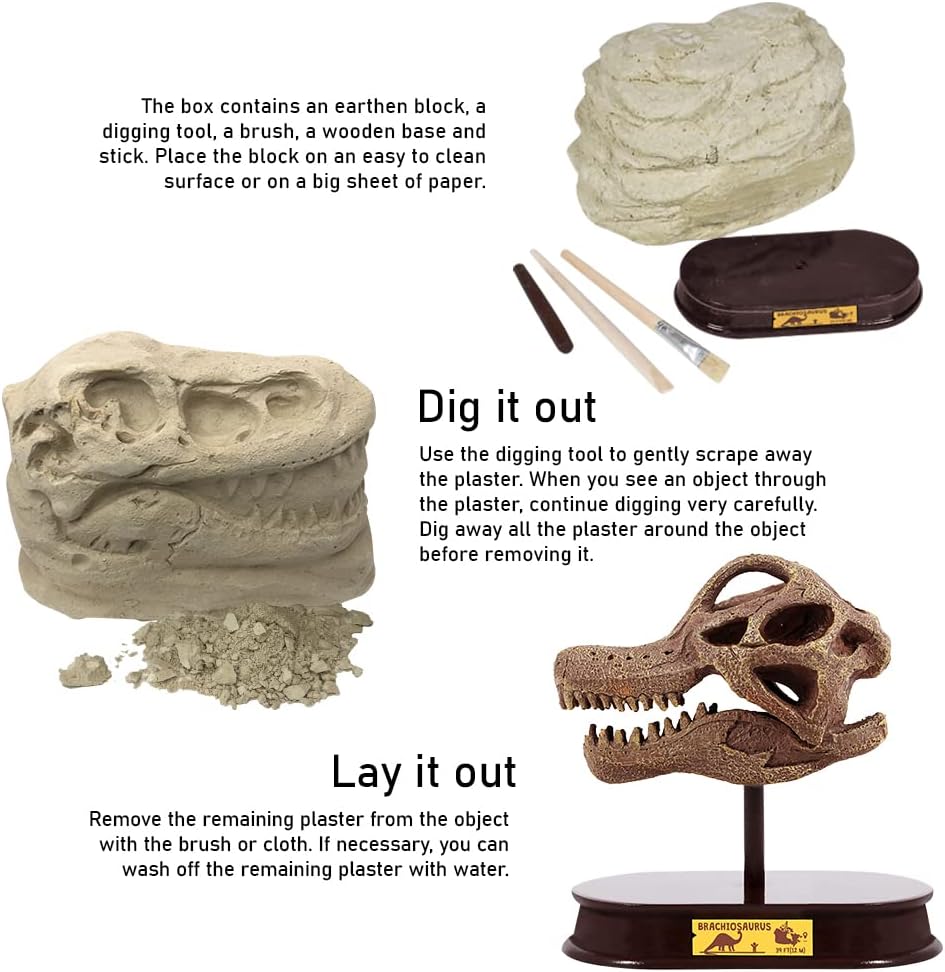 ArtCreativity Dinosaur Excavation Kit for Kids, Brachiosaurus Skull Excavating Set with Fossil Digging Tools and Stand, Fun Science Activity Toy, Educational Dinosaur Gift for Boys and Girls