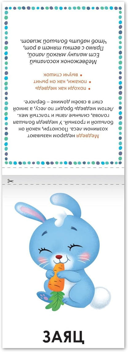 Set 8 Speech Therapy Russian Books - Learn Russian Alphabet Learning Flash Cards - My First Words Flash Cards in Russian Language - Russian Syllables 12+