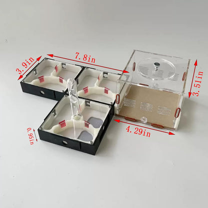 Plaster Test Tube Adult ant Farm Acrylic Transparent ant Observation Behavior Study Live Ants and Queen Education ant nest Small Colony breeding Area Suitable for Children and Enthusiasts Gift