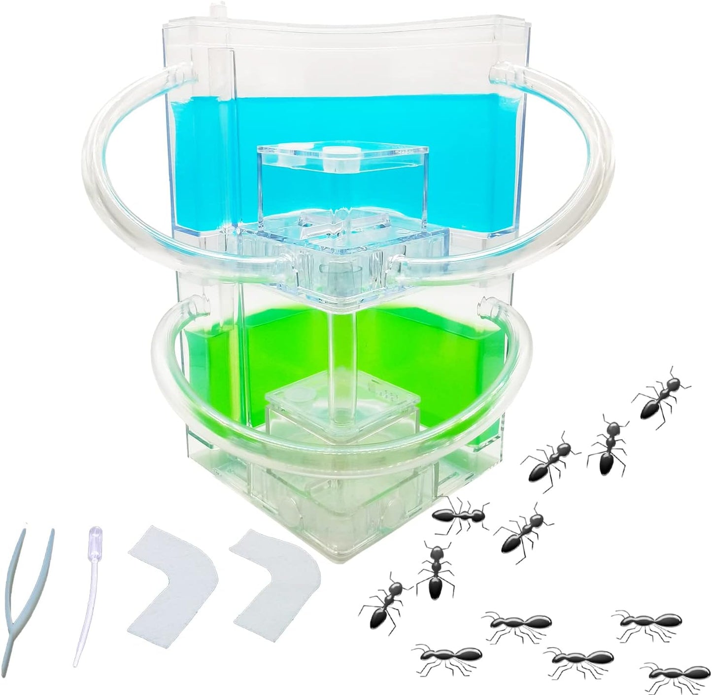 EXBEPE Large 2 Layer Gel Ant Colony Ecosystem Terrarium, Ant Habitat Science Learning Kit
