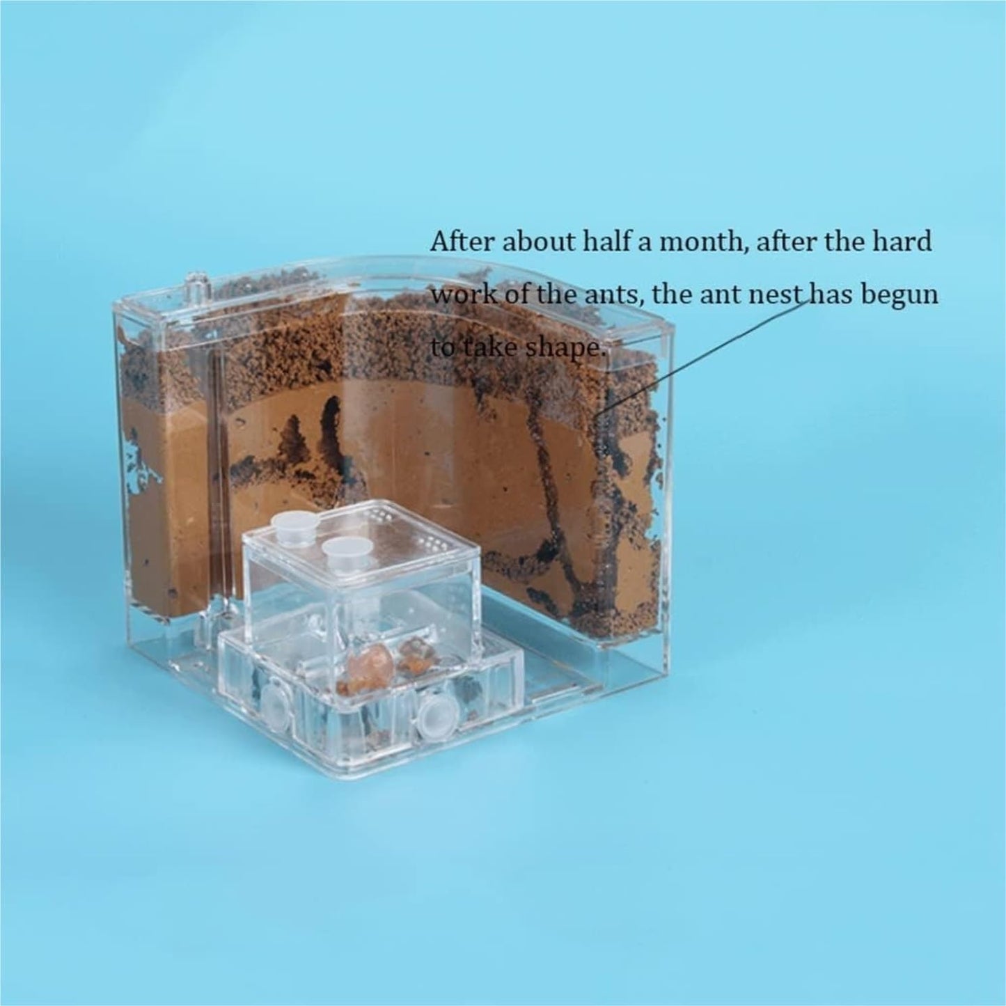 Ant Habitat Ant Farm Ant Castle Ant Castle Filled Clay Sand Ant Farm Ant Nest　Habitat Professional Ant Nest Farm Ant Nest Ant House Ant Nest Farm(1pcs), Clear