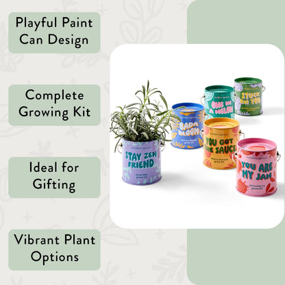 Modern Sprout Complimentary Color Grow Kits (Pack of 4) - Gift for Plant Lovers - Seed Starter Kit - Includes Organic Strawberry Tomato Sunflower & Cactus Seeds - Gardening Gifts that Grows with Love