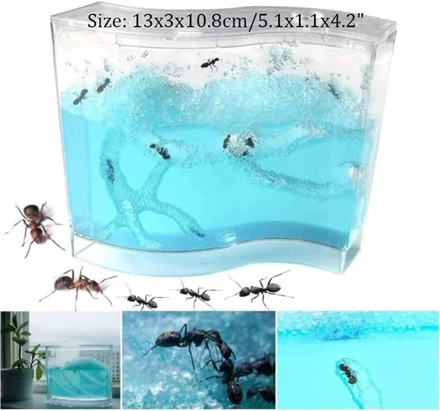 Ant Farm Ant Nest Ant House Ant Farm Box Gel Maze Ant Castle Watch Ants at Work Ant Nest Farm World Pet House Ant Habitat Ant Farm for Live Ants(Pink)