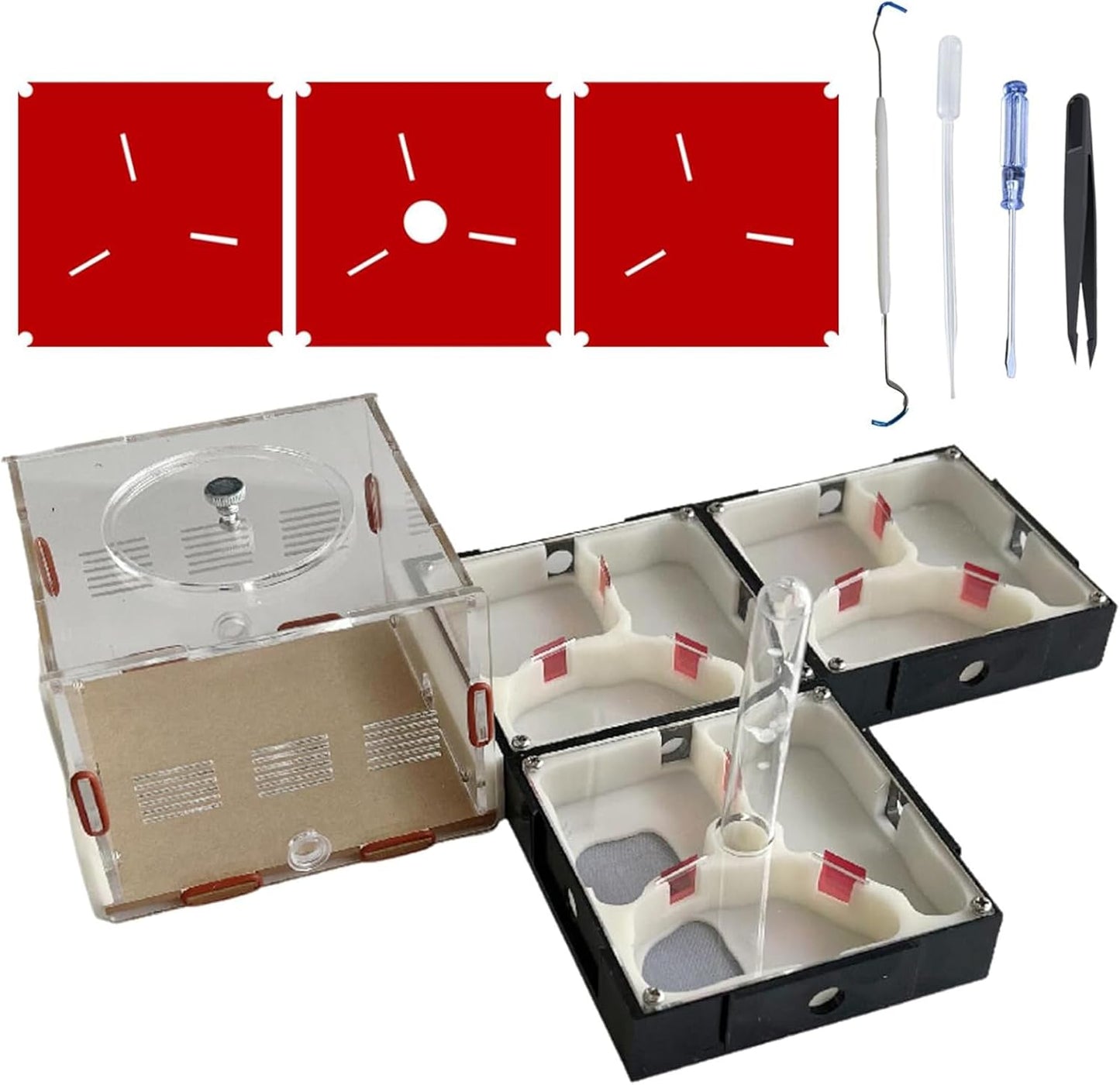 Plaster Test Tube Adult ant Farm Acrylic Transparent ant Observation Behavior Study Live Ants and Queen Education ant nest Small Colony breeding Area Suitable for Children and Enthusiasts Gift