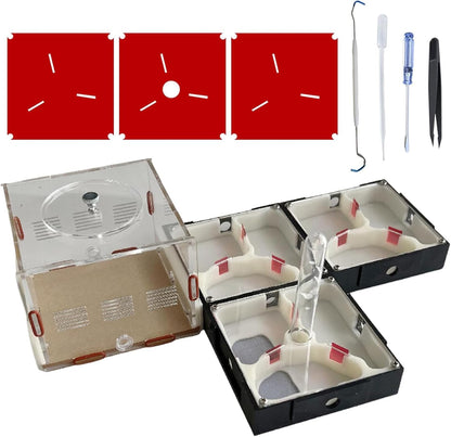 Plaster Test Tube Adult ant Farm Acrylic Transparent ant Observation Behavior Study Live Ants and Queen Education ant nest Small Colony breeding Area Suitable for Children and Enthusiasts Gift