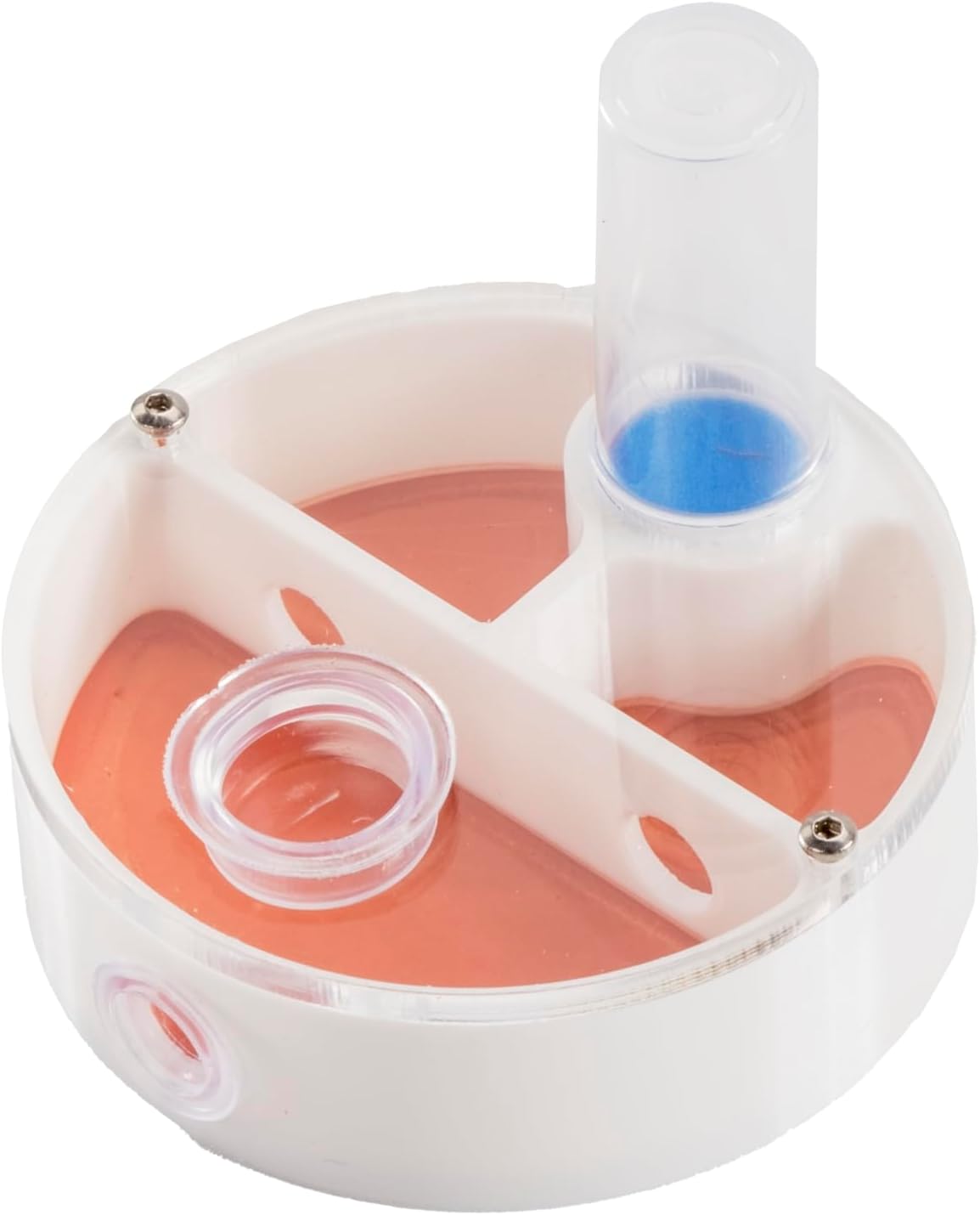 Mini Round Ant Farm Nest, White Plastic Educational Colony Kit with Water Feeder, Multiple Chambers for Observation, 2.4x2.4x0.8 Inches, Ages 3+