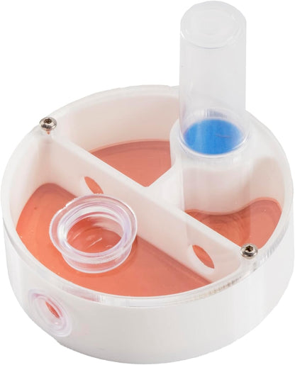 Mini Round Ant Farm Nest, White Plastic Educational Colony Kit with Water Feeder, Multiple Chambers for Observation, 2.4x2.4x0.8 Inches, Ages 3+