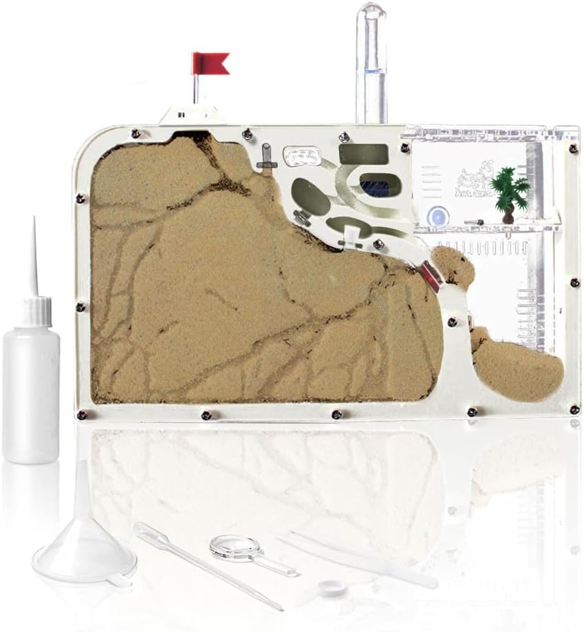 ELNMLHT Ant Farm Castle, Ant Farms with Yellow Sand and Tool Kit, Ant Colony Observation Kit, Ant Viewing Habitat Science Kit, Educational & Learning Science Kit for Kids, Adults, Student (Ant Farm B)
