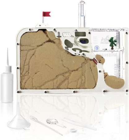 ELNMLHT Ant Farm Castle, Ant Farms with Yellow Sand and Tool Kit, Ant Colony Observation Kit, Ant Viewing Habitat Science Kit, Educational & Learning Science Kit for Kids, Adults, Student (Ant Farm B)