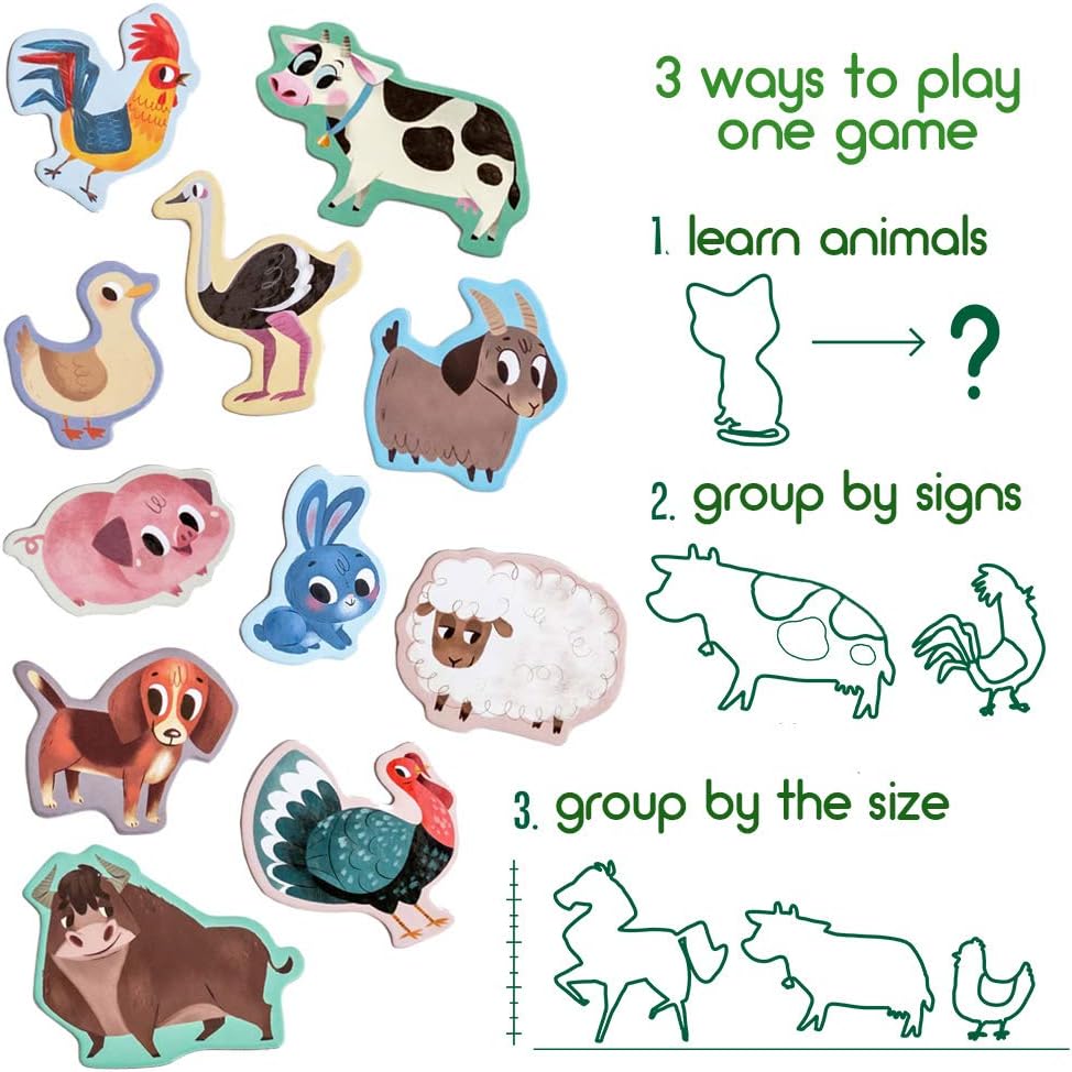 25 Fridge Magnets for Toddlers - Birds Photo Kids Magnets for Refrigerator – Real Magnetic Animals for Children – Big Realistic Magnet for Kids - Learning Toy Set - Baby Educational Gift