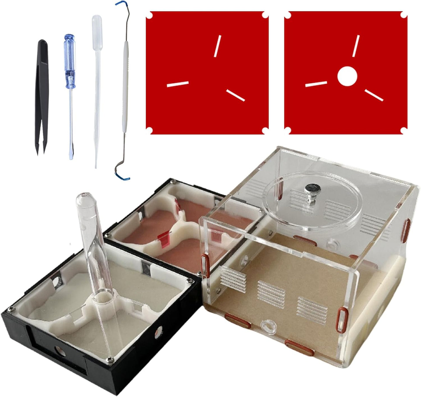 Ant Farm Nest Science DIY Terrarium Kit Care for Live Ants Ant Habitat with Water Tower Nurturing Room and Comprehensive Observation