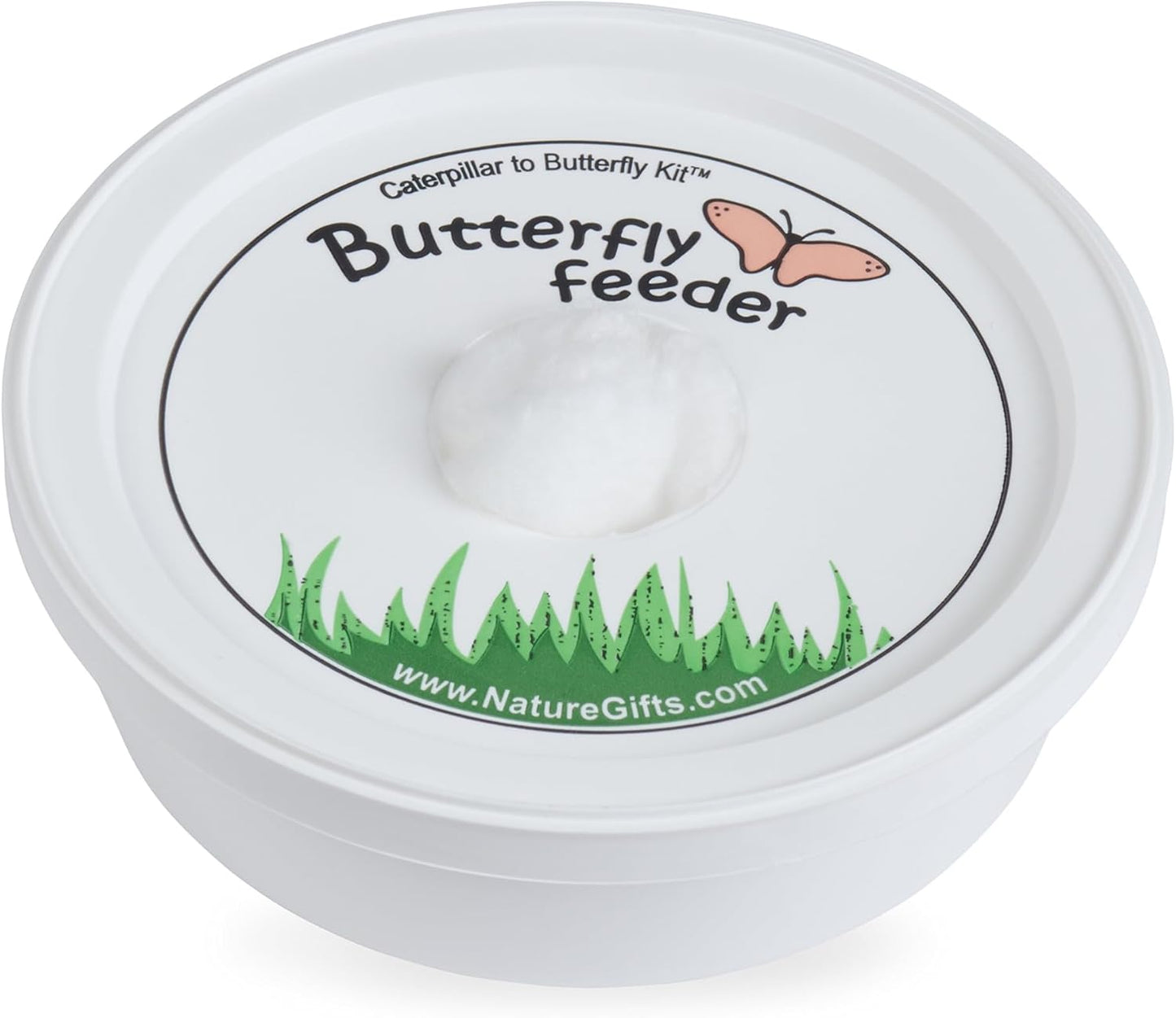 30 Live Caterpillars for Butterfly Habitat Kit - Refill for Painted Lady Butterfly Kit with Caterpillar Food, Instructions - Educational Science Kit, 6 Cups of 5 Caterpillars