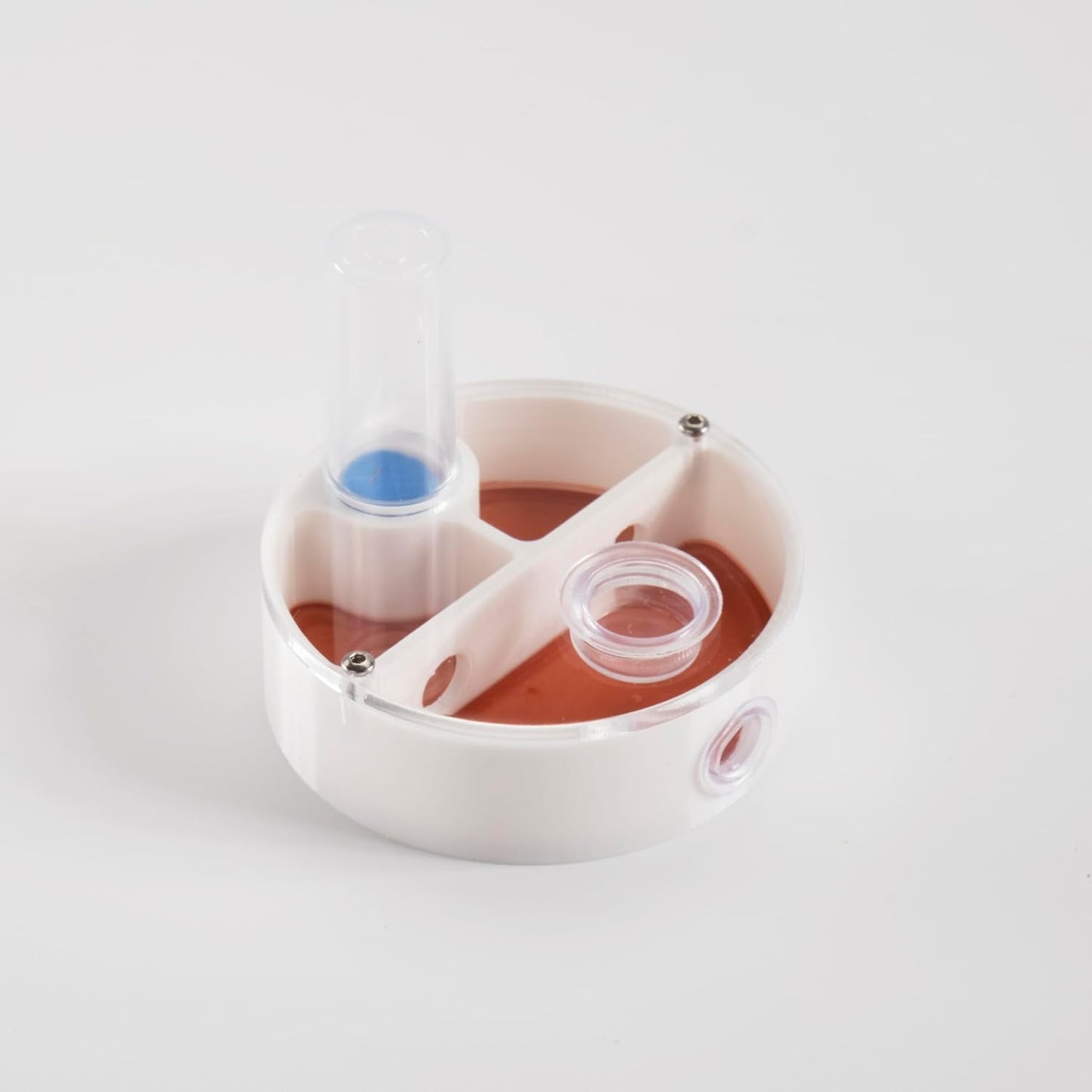 Mini Round Ant Farm Nest, White Plastic Educational Colony Kit with Water Feeder, Multiple Chambers for Observation, 2.4x2.4x0.8 Inches, Ages 3+