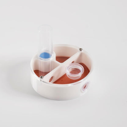 Mini Round Ant Farm Nest, White Plastic Educational Colony Kit with Water Feeder, Multiple Chambers for Observation, 2.4x2.4x0.8 Inches, Ages 3+