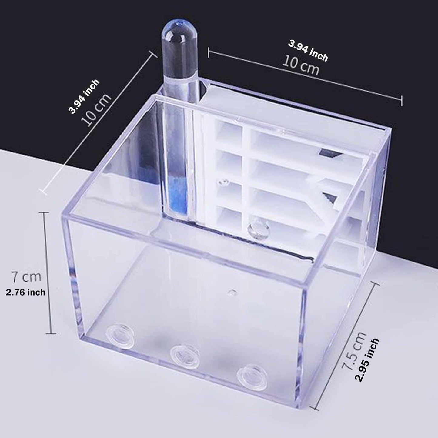 ANT Farm Study DIY Supplies ANT Habitat for Decor Children's Day Birthday
