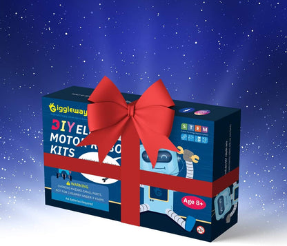 STEM Robotics Kit for Kids 8-12, DIY Voice-Control Interactive Robot Building Science Kit for Kids Age 8-12, for Science & Tech Enthusiasts