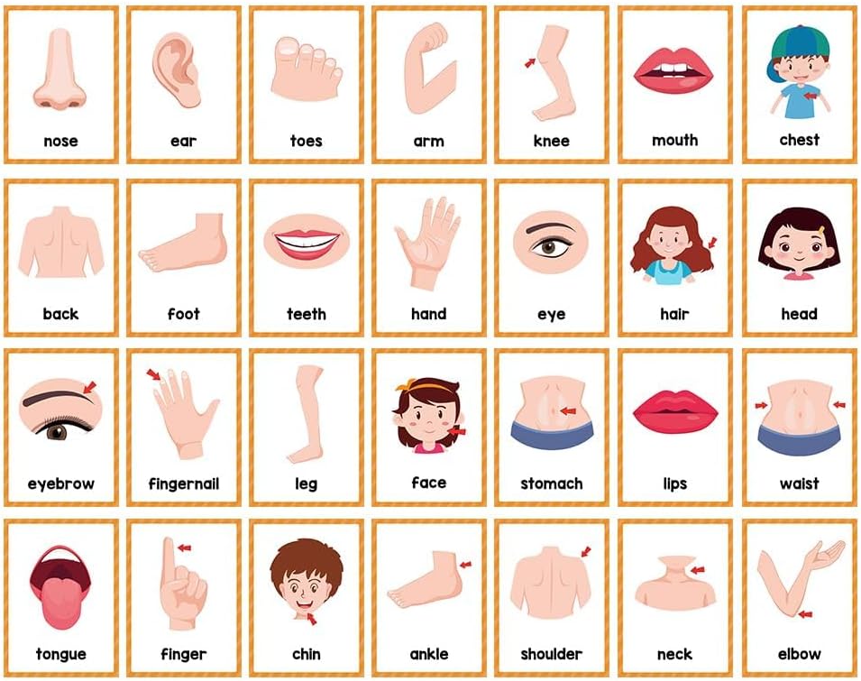 Lachilly Number 1-100 English Flashcards, High Frequency Words, Kindergarten ESL Teaching Materials, Autism Learning Materials, Vocabulary Building, 15 Cards 28 Words