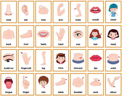 Lachilly Number 1-100 English Flashcards, High Frequency Words, Kindergarten ESL Teaching Materials, Autism Learning Materials, Vocabulary Building, 15 Cards 28 Words