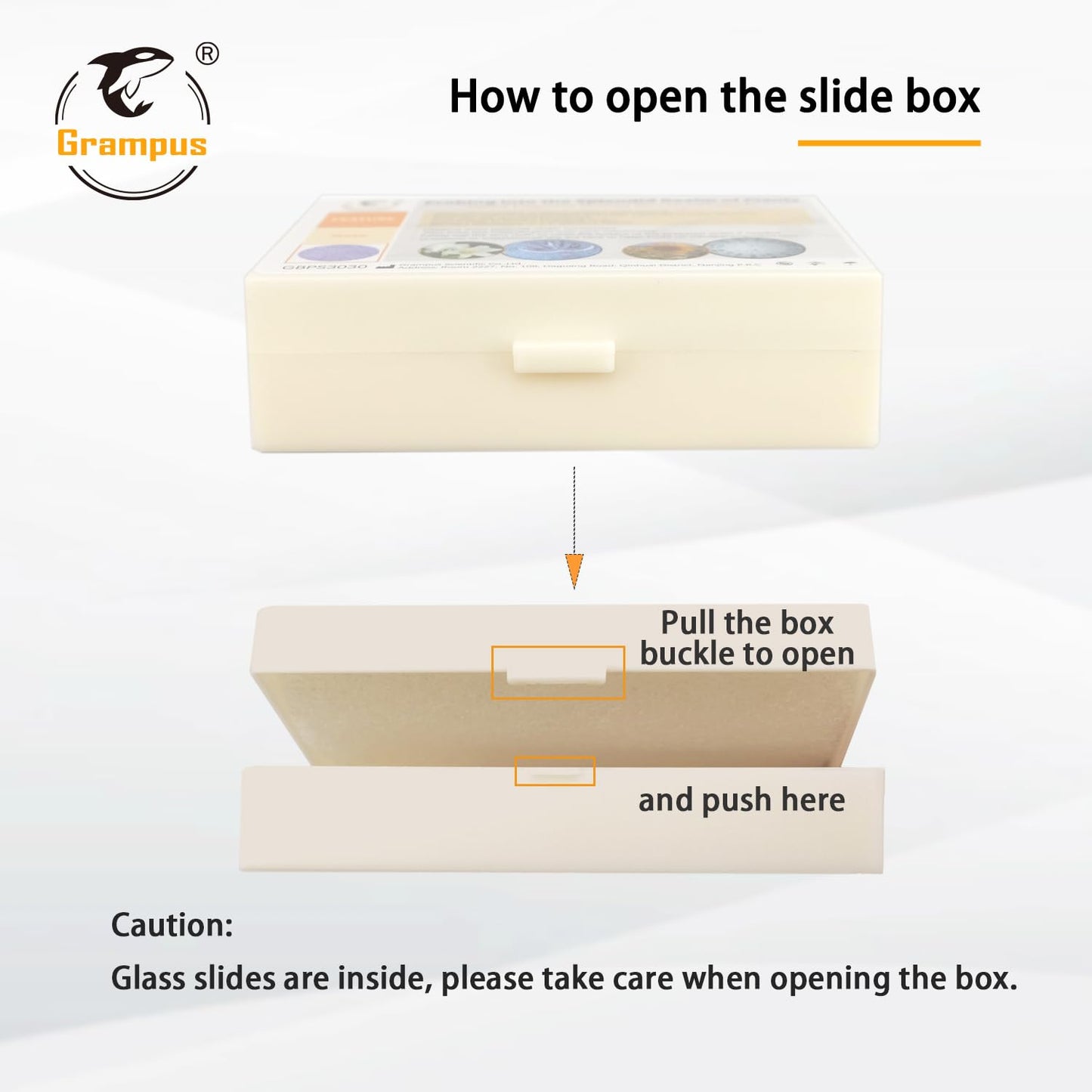 30 Prepared Microscope Slides with Specimens for Kids Students - Plants, for Biological Science Lab, Children's Science Education, Homeschooling Use