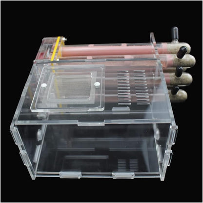 KXCR Ant Farm 6 PCS Bamboo Test Tube Ant Nest DIY Acrylic Ant House Feeding Area Farm Pet Anthill Workshop Ecological Ant Breeding Castle Moisturize Villa Ants Observation Science (Color : A)