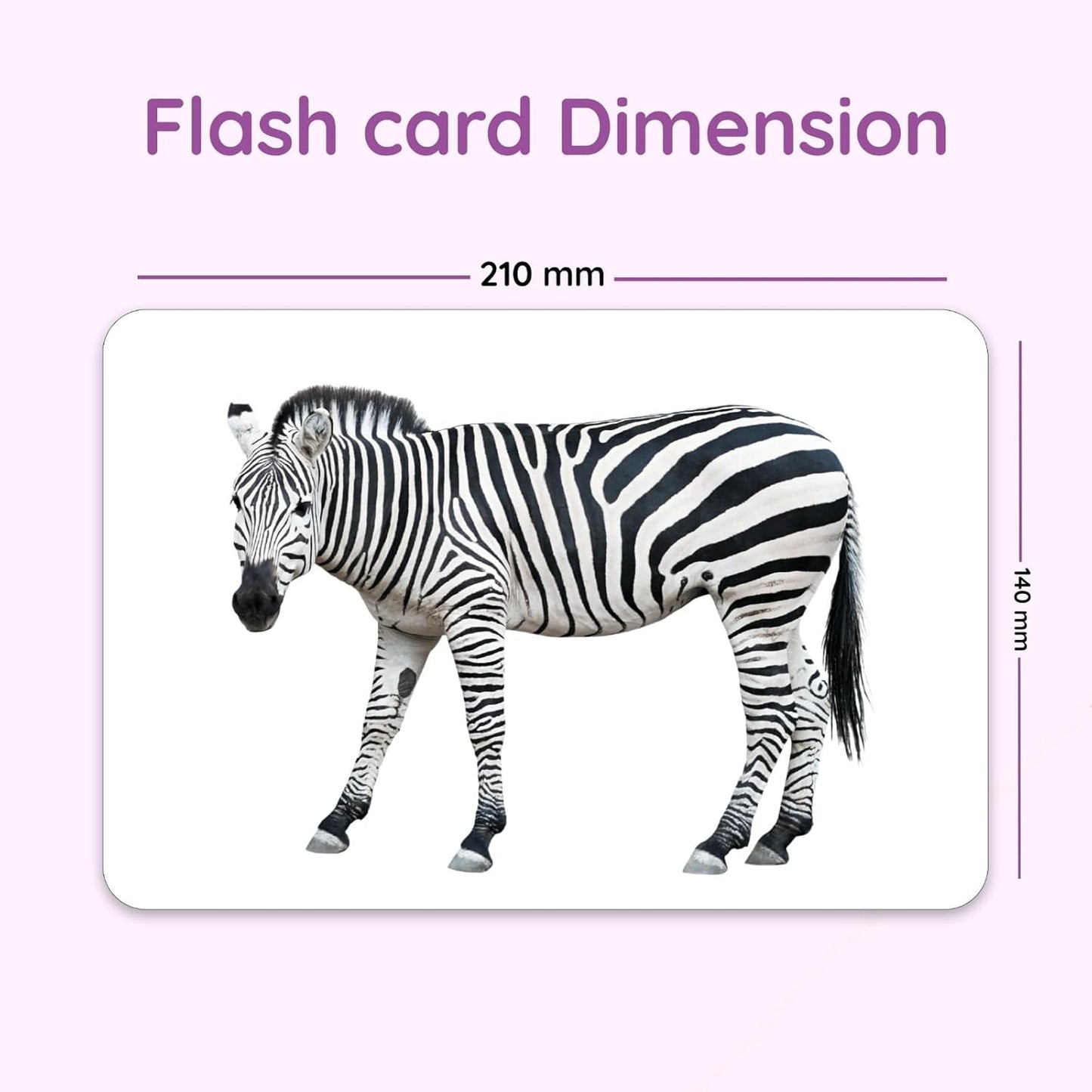 Hungry Brain Number Flash Cards for Kids Ages 36 Years Months to | Learn Numbers, Counting & Early Math Skills | Preschool Educational Toy for Toddlers | Montessori Learning | Set of 24 Cards