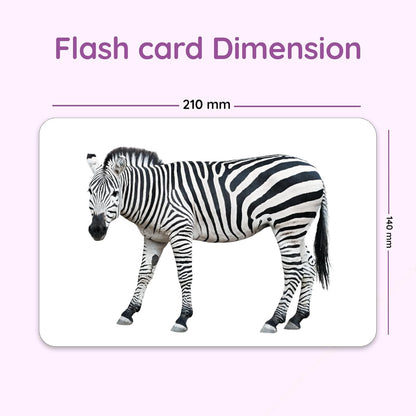 Hungry Brain Number Flash Cards for Kids Ages 36 Years Months to | Learn Numbers, Counting & Early Math Skills | Preschool Educational Toy for Toddlers | Montessori Learning | Set of 24 Cards
