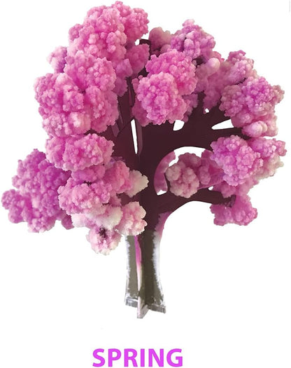 Crystal Growing Seasons Kit | Grow All 4 Seasons Today | Safe, Fun and Fast | Instructions & Facts Included | Copernicus Toys