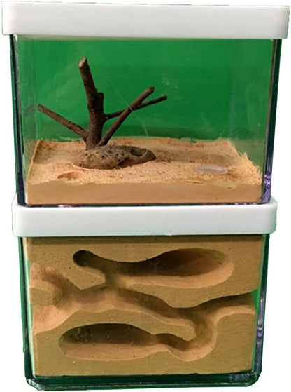 Acrylic Transparent Ant Farm Nest - Ant Observation & Education - Suitable for Children & Enthusiasts - Gift Giving