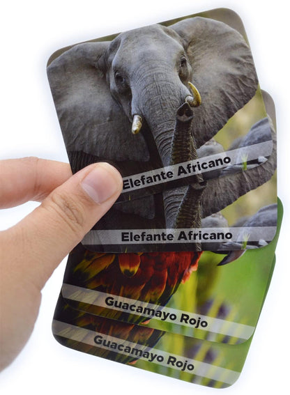 Menique Wild Animals Memory Matching Game – 80 Cards (40 Pairs) with Real Photos – Includes Educational Booklet with Animal Facts – Fun & Cognitive Game for Kids and Adults