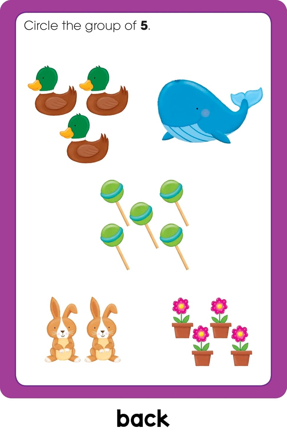 School Zone Preschool Write & Reuse Learning Cards: 32 Interactive Flash Cards, Writing Practice, Letter & Number Recognition, Shapes, Early Math, Wipe Clean, Includes Dry Erase Marker