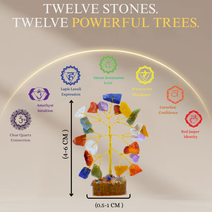 ANAYA AGATE 7 Chakra Healing Crystal Tree of Life Kit, Bracelet, Pendant, Necklace, Feng Shui Money Bonsai Tree, Positive Energy for Women, Mom, Sister and Housewarming Decoration