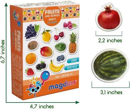 Solar System Fridge Magnets for Kids - Magdum - 22 Realistic Space Magnets for Toddlers - Real Refrigerator Magnets - Planets for Kids – Magnetic Universe - Science Toys for Children - Astronomy Gifts
