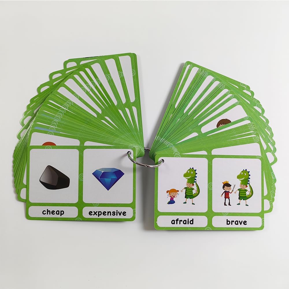 Lilias Irregular Past Tense Verbs English Grammar Double-Side Learning Flash Cards - 24 Card Set for Homeschool, Preschool, Primary School, ESL, Autism, Vocabulary Building