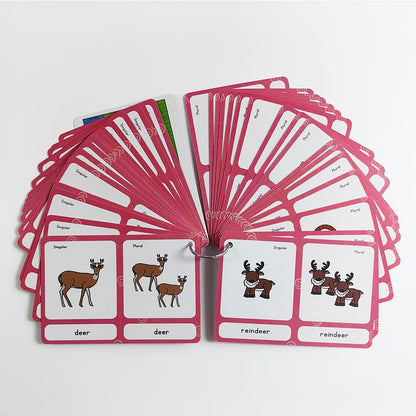 Lilias Irregular Past Tense Verbs English Grammar Double-Side Learning Flash Cards - 24 Card Set for Homeschool, Preschool, Primary School, ESL, Autism, Vocabulary Building
