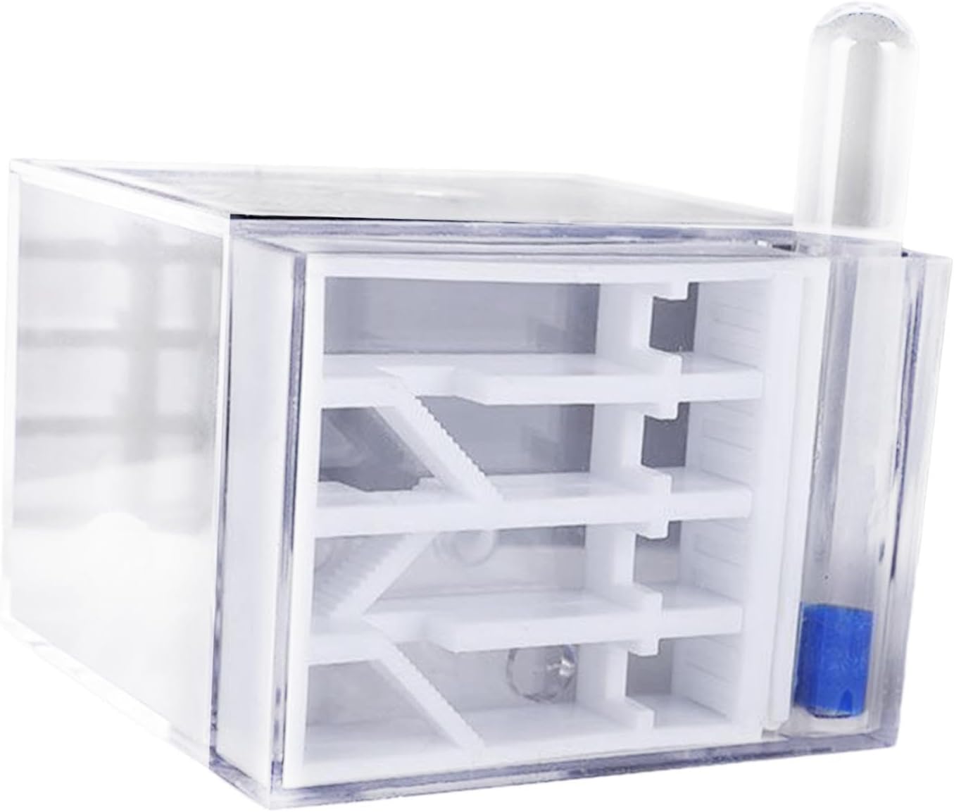 ANT Farm Study DIY Supplies ANT Habitat for Decor Children's Day Birthday