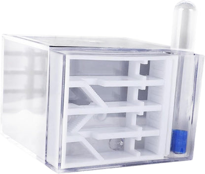 ANT Farm Study DIY Supplies ANT Habitat for Decor Children's Day Birthday