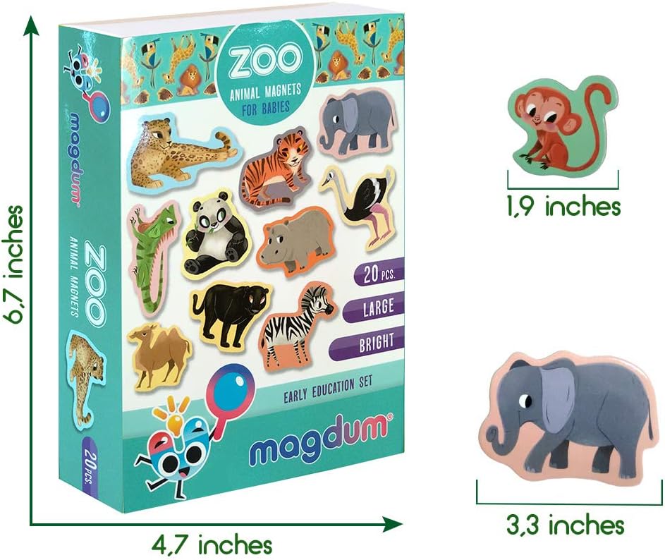 25 Fridge Magnets for Toddlers - Birds Photo Kids Magnets for Refrigerator – Real Magnetic Animals for Children – Big Realistic Magnet for Kids - Learning Toy Set - Baby Educational Gift