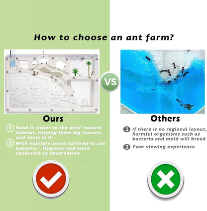 Ant Farm Castle - Large Viewing Area - Care for Live Ants - Ant Colony Observation Kits with Sand Habitat - Educational Science Gifts for Boys, Girls - Ant Farms for Kids, Adults