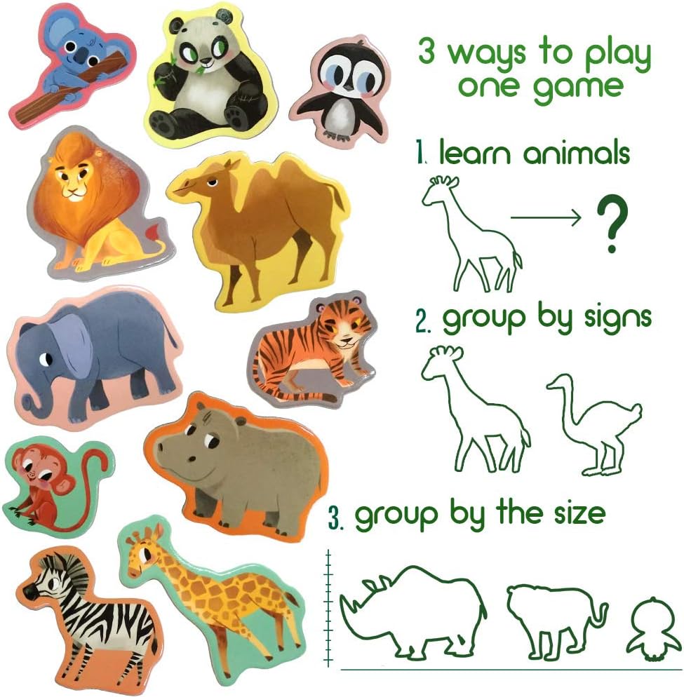 25 Fridge Magnets for Toddlers - Birds Photo Kids Magnets for Refrigerator – Real Magnetic Animals for Children – Big Realistic Magnet for Kids - Learning Toy Set - Baby Educational Gift