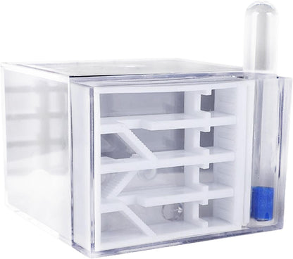 ANT Farm Study DIY Supplies ANT Habitat for Decor Children's Day Birthday